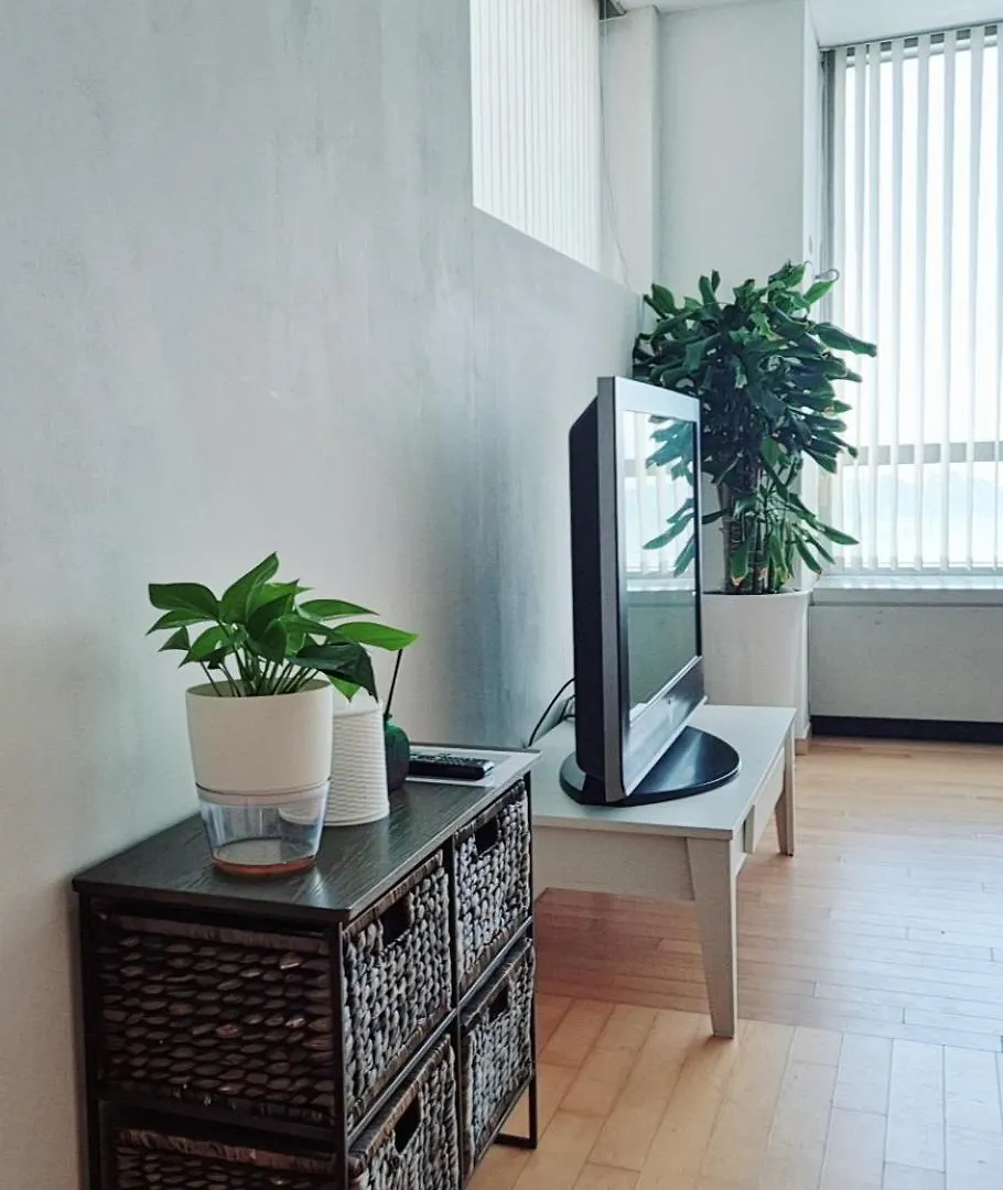 Cozy - Experience Home Like Comfort Studio Incheon