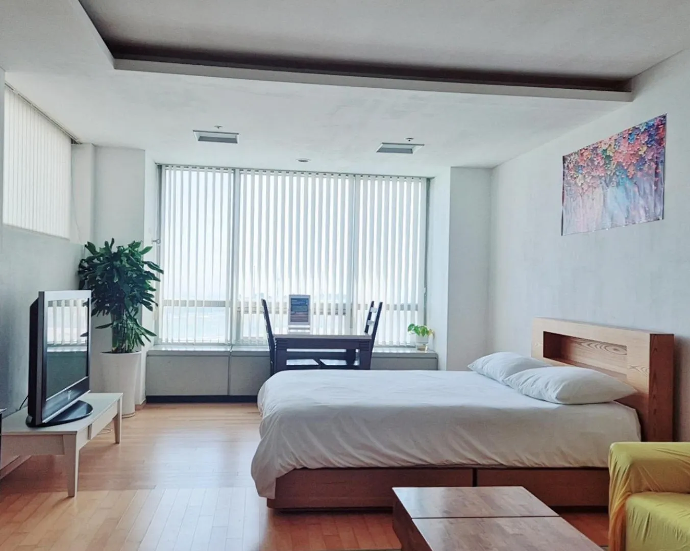 Cozy - Experience Home Like Comfort Studio contacts